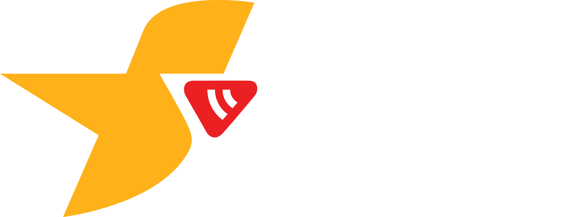 品牌连锁运营体系